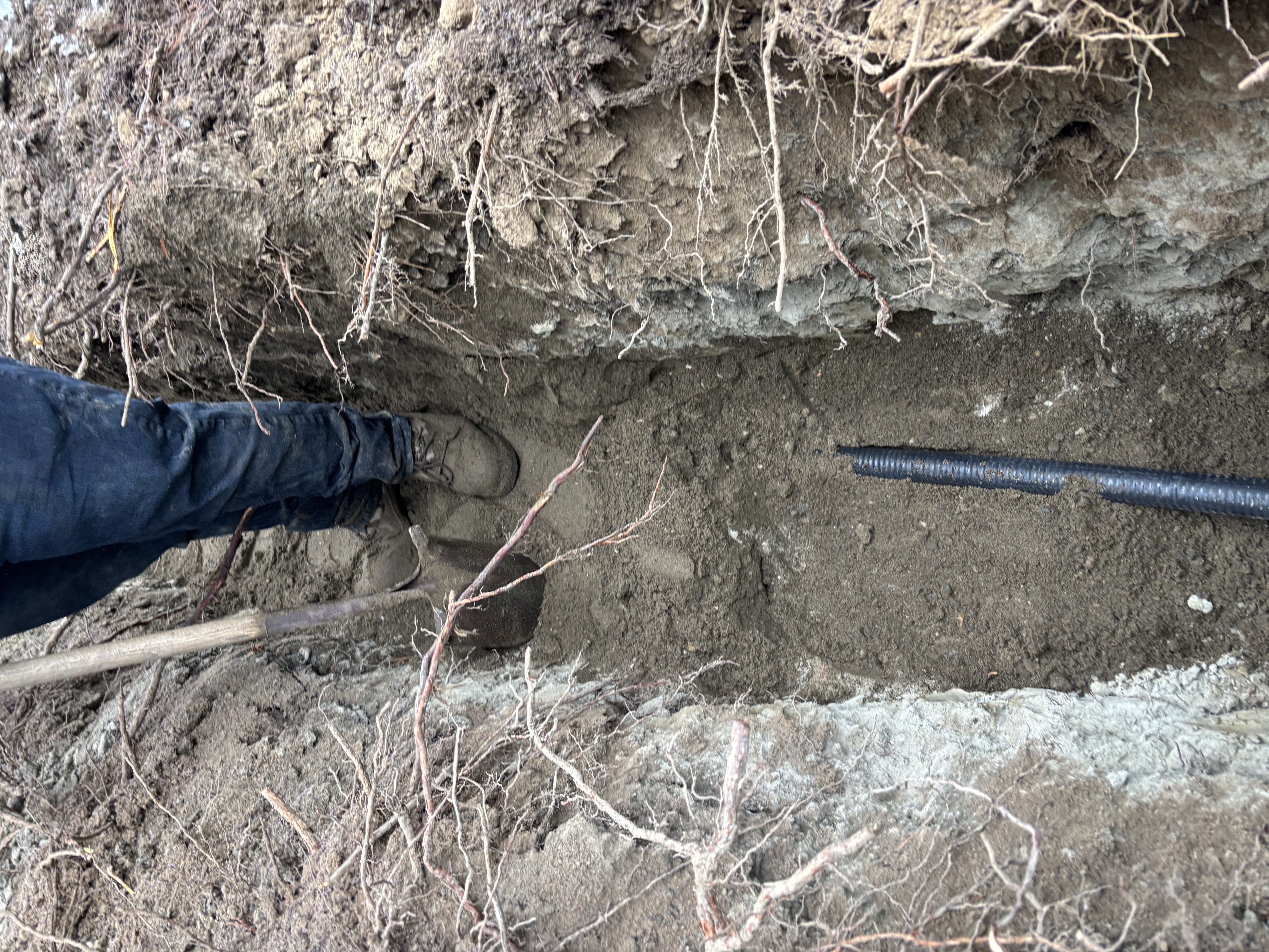 Residential Electrical Infrastructure Progress