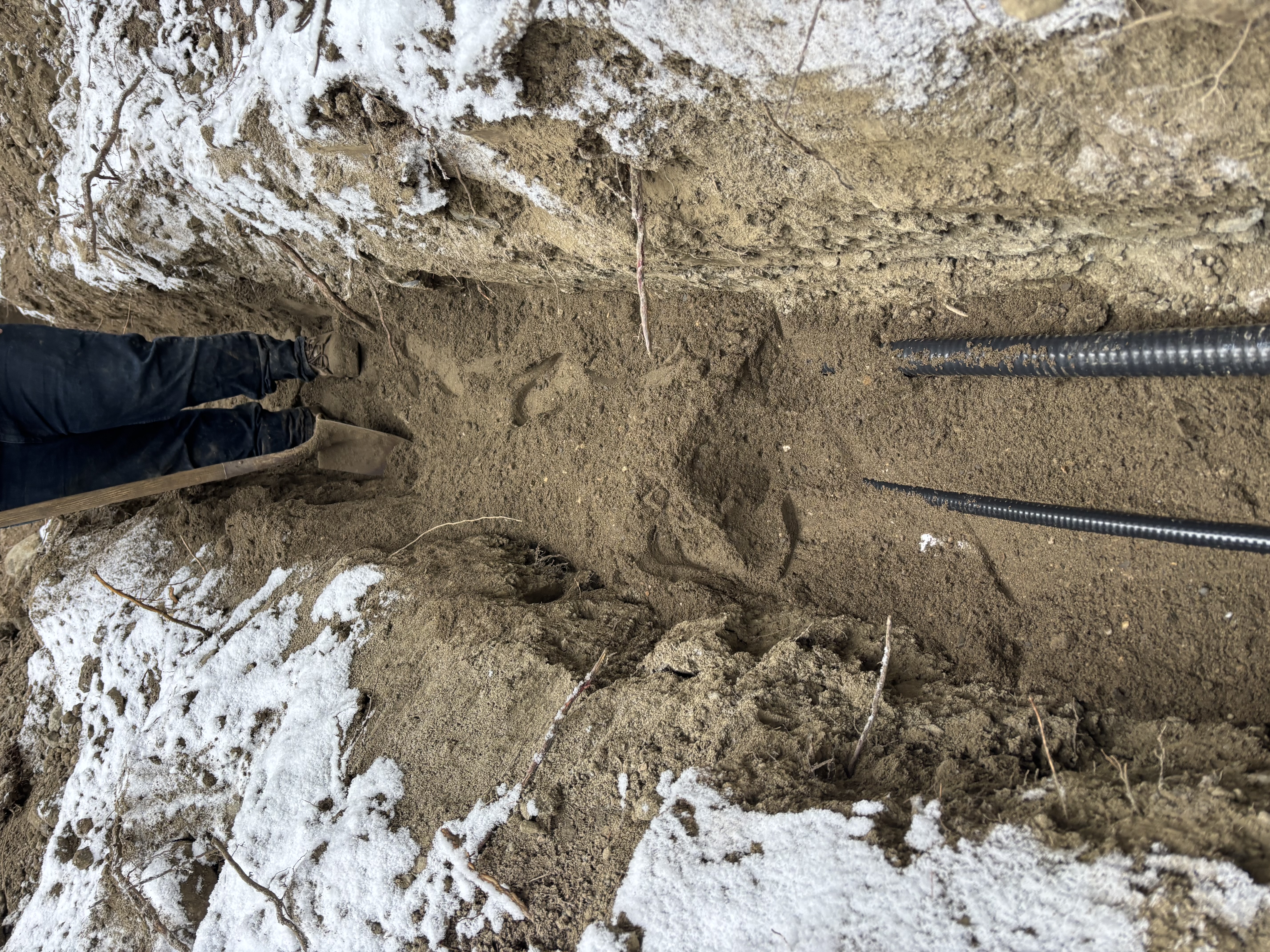 Residential Electrical Infrastructure Progress
